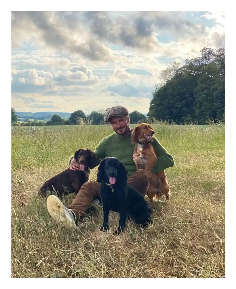 June 2020 Family Time Dogs David and Victoria Beckham Timeline Victoria Instagram