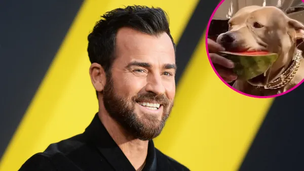 Justin Theroux Teaches His Dog Kuma How to Eat Watermelon p