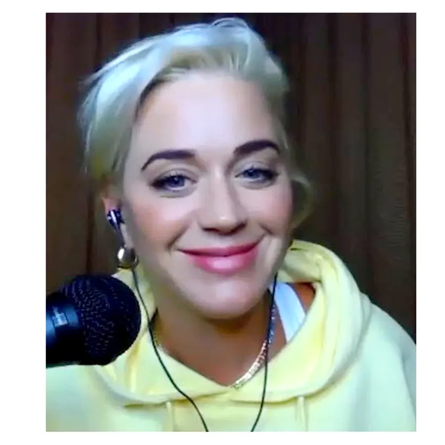 Busy Bee Katy Perry Pregnancy Quotes Howard Stern