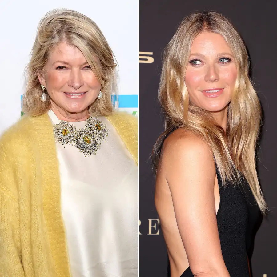 Gwyneth Paltrow Martha Stewart Shadiest Quotes