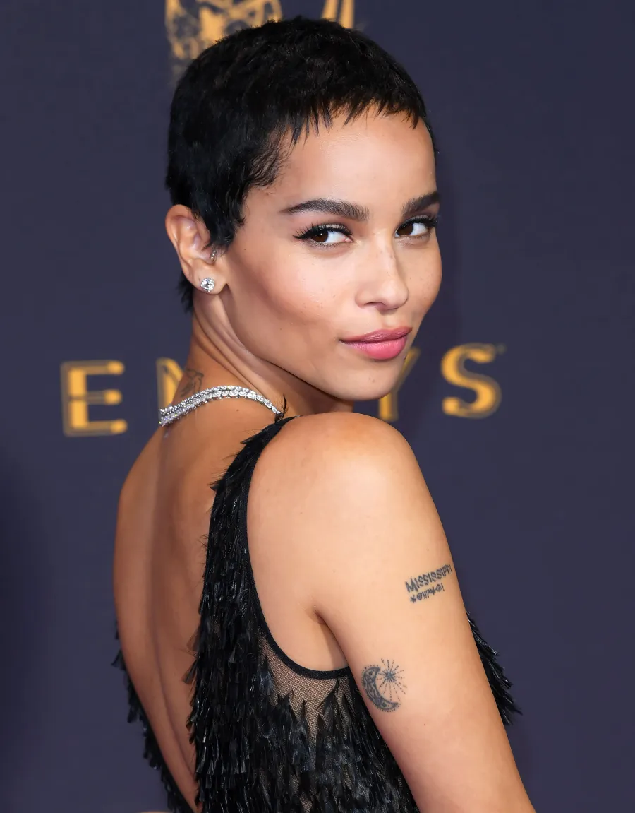 The Most Dramatic Celebrity Hair Changes of All Time: Pics