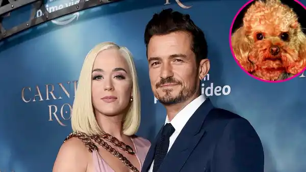 Orlando Bloom and Katy Perry Confirm His Dog Mighty Is Dead After 7-Day Search 1