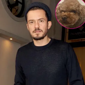 Orlando Bloom dog missing