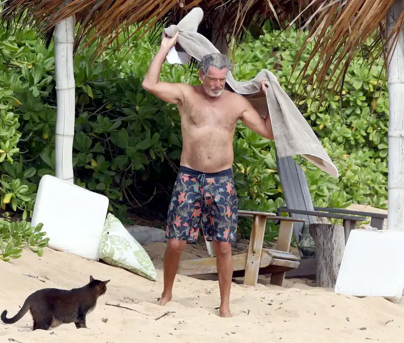 Pierce Brosnan drying off beach Hawaii