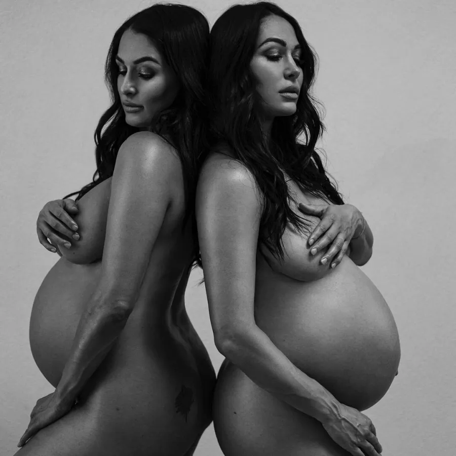 Pregnant Niki Bella Brie Bella Pose Nude Ahead Giving Birth Baby Bump Pics