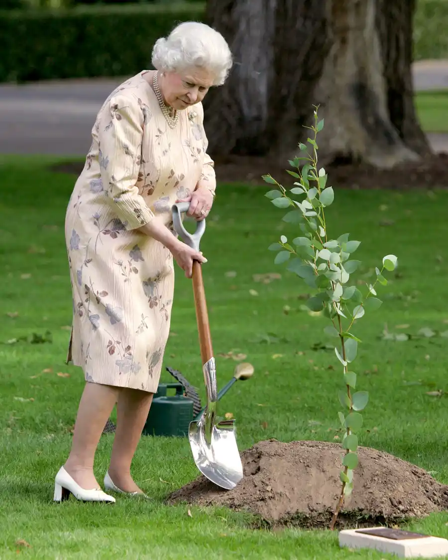 Queen Elizabeth II planting a tree