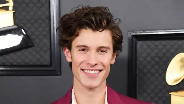 Shawn Mendes Gets a Tattoo Dedicated to Aaliyah Mendes: Pic