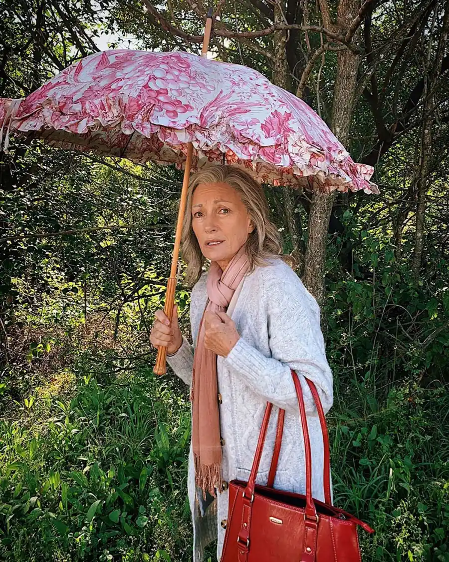 Jane Seymour and More Stars Make Gray Hair Look Fabulous: Pics