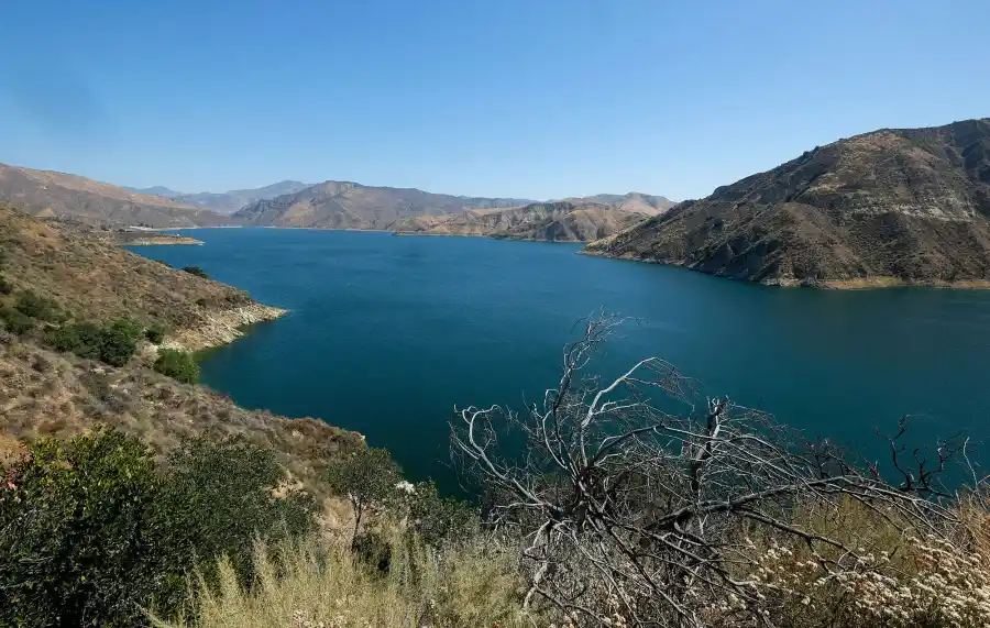 Where Naya Rivera Missing Everything We Know About Her Boat Incident