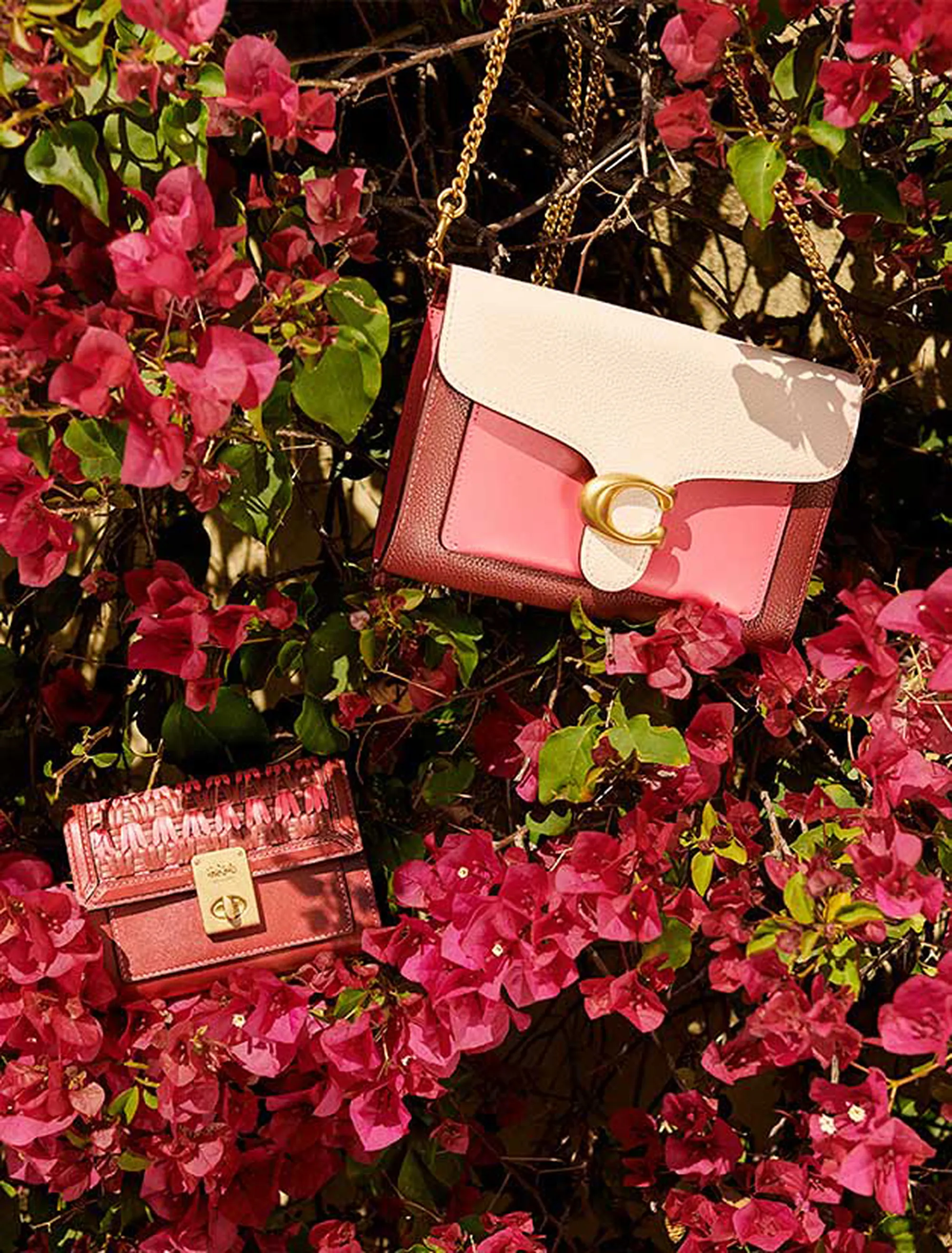 coach-bags-summer-sale