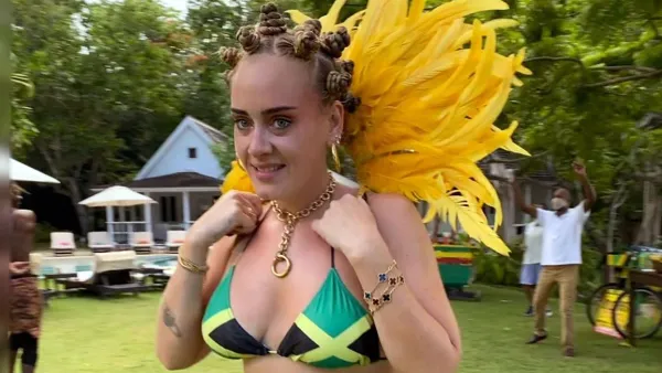 Fans Are Begging Adele to Delete Bantu Knots Photo