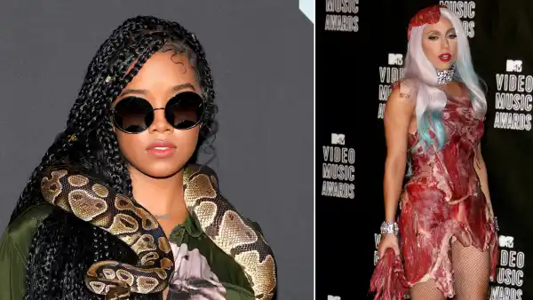 From Snakes to Meat Purses, See the All-Time Craziest VMAs Accessories