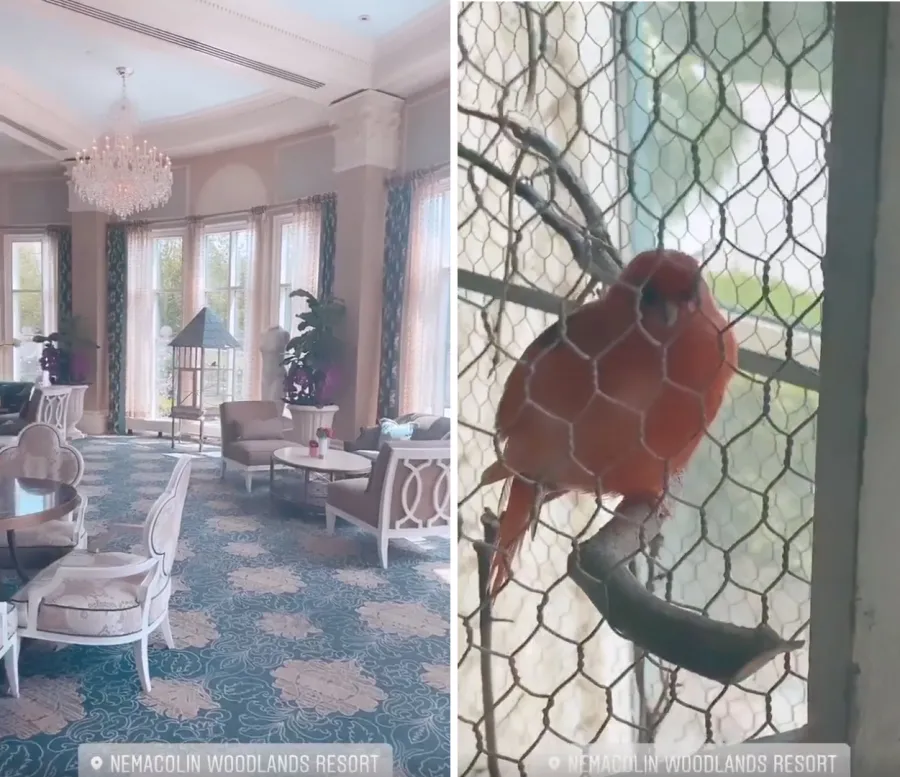 Bachelor Alums Flock to Alleged Resort Where Matt James Season Is Set to Film