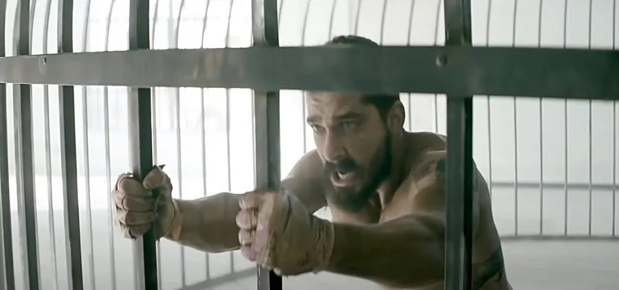 Shia LaBeouf Best Celebrity Music Video Cameos Ever