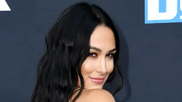 Brie Bella Calls Herself Human Milk Truck 3 Weeks After Son Birth