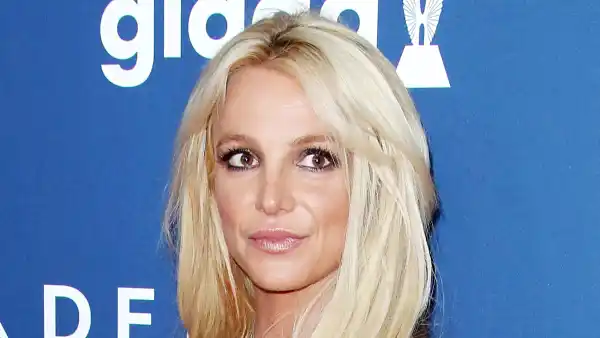 Britney Spears Lawyers Arent Happy Her Family Is Going Public