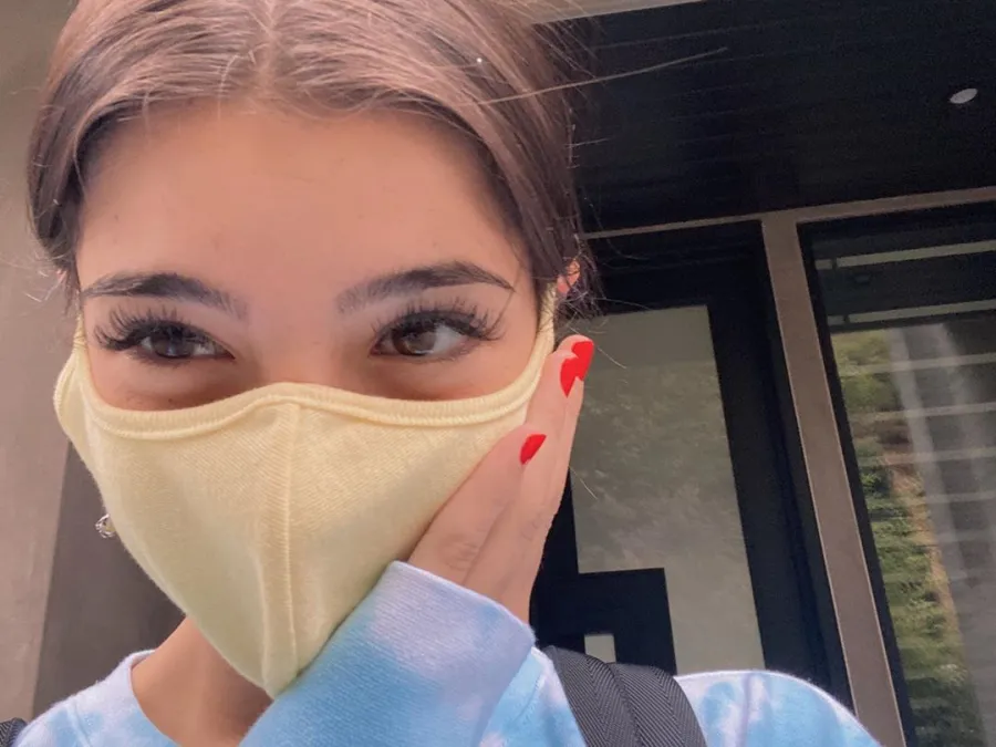 Charli D'Amelio face mask