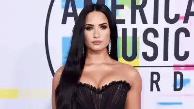 Happy Birthday, Demi Lovato! See Her Red Carpet Style Evolution