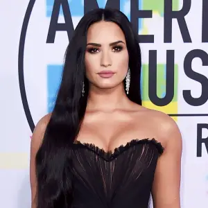Happy Birthday, Demi Lovato! See Her Red Carpet Style Evolution