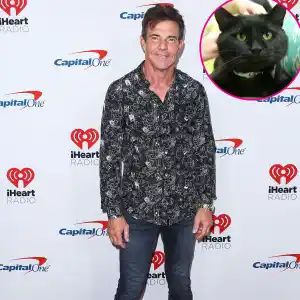 Dennis Quaid Adopts Black Shelter Cat Named Dennis Quaid