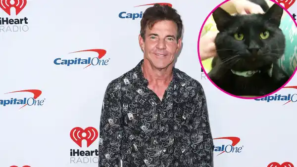 Dennis Quaid Adopts Black Shelter Cat Named Dennis Quaid