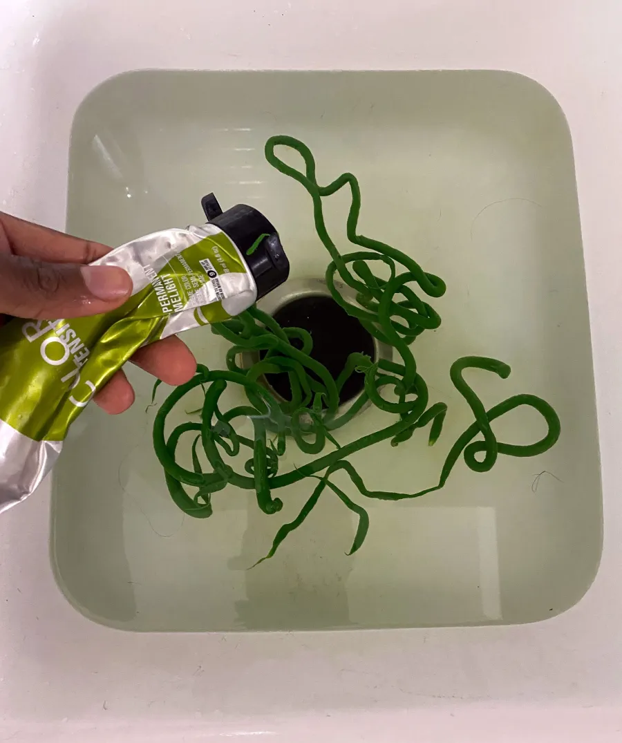 Why Doja Cat Resembled a ‘Beautiful Alien’ at the VMAs