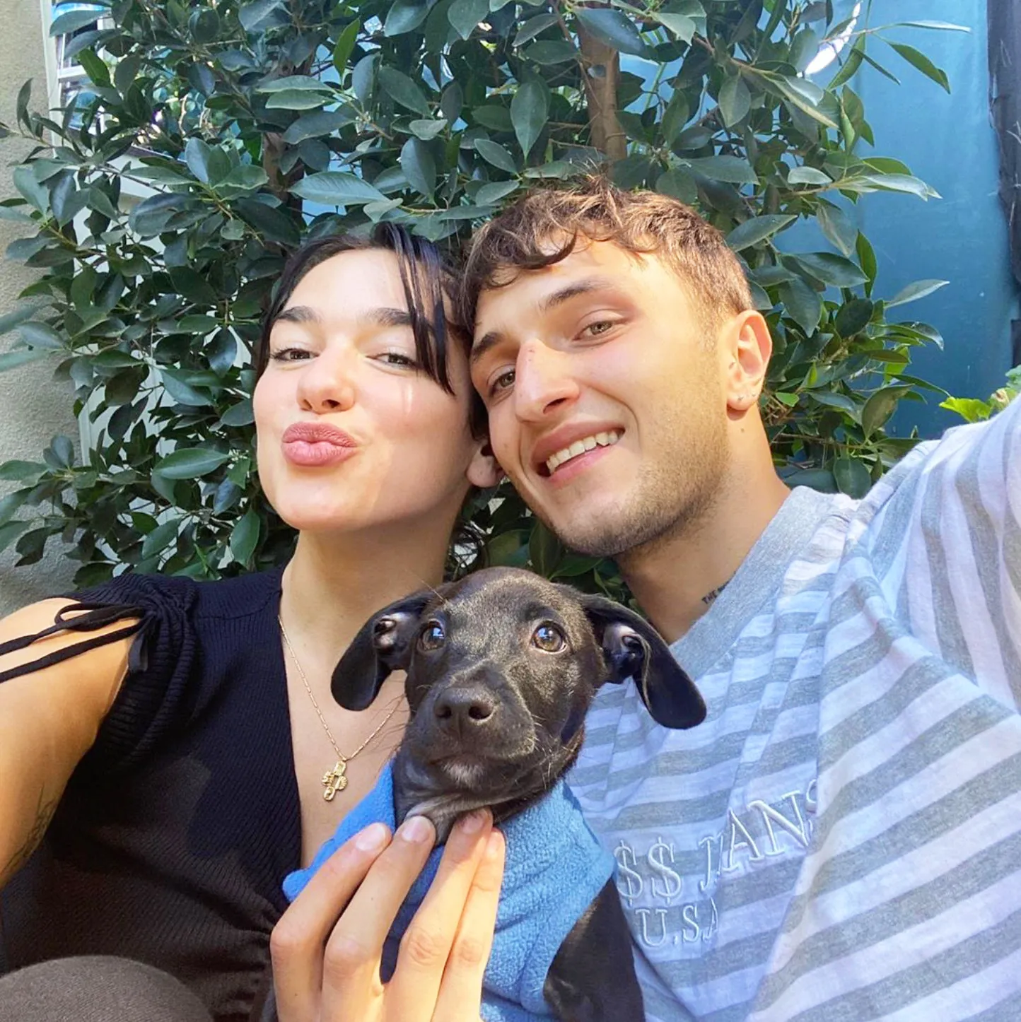 Dua Lipa and Boyfriend Anwar Hadid Adopt New Puppy Dexter