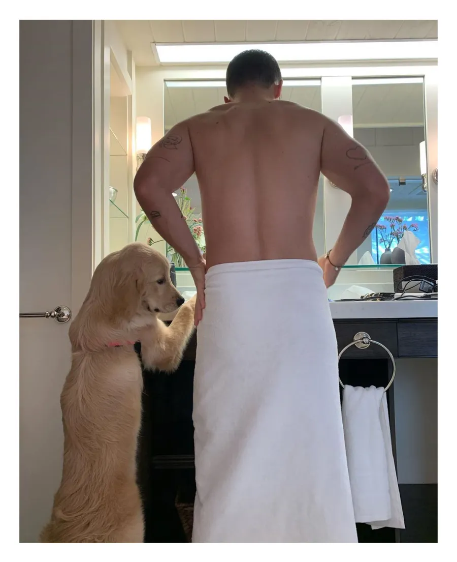 February 2020 Bath Towel Joe Jonas Hotness Evolution