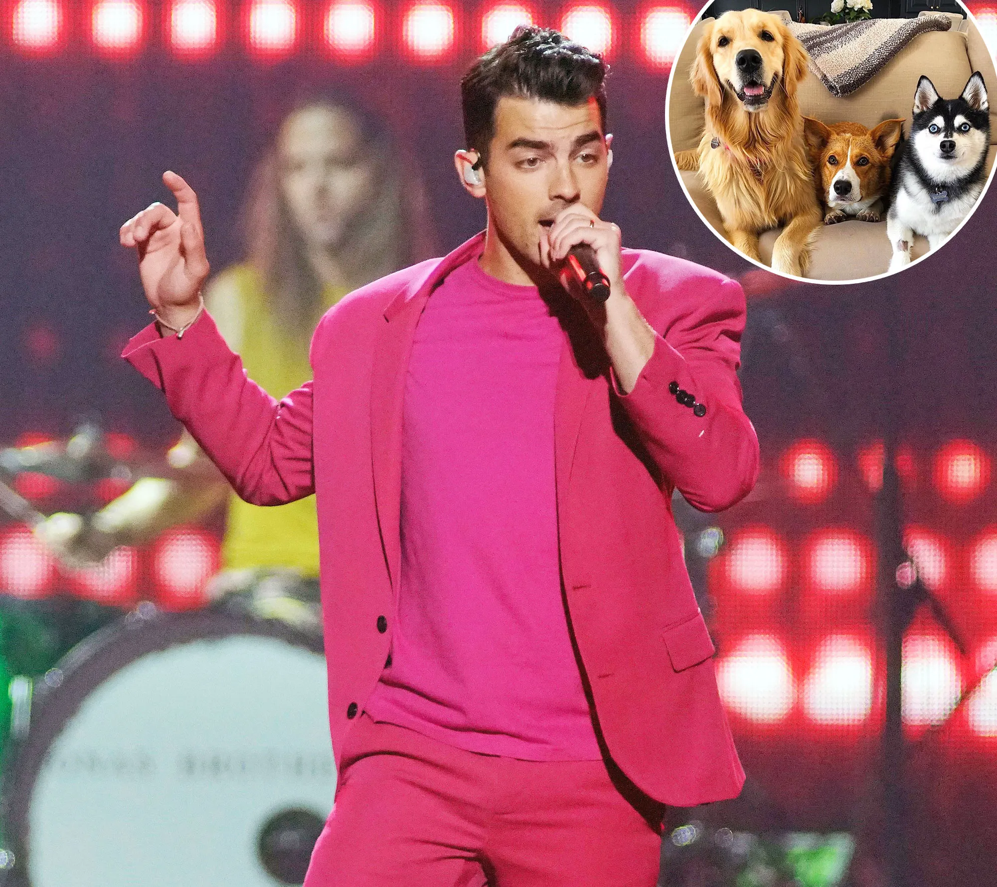 Joe Jonas Pays Tribute to His Squad on National Dog Day