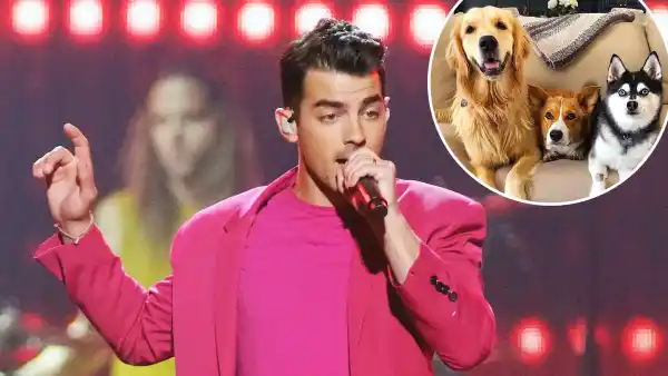 Joe Jonas Pays Tribute to His Squad on National Dog Day