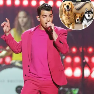 Joe Jonas Pays Tribute to His Squad on National Dog Day