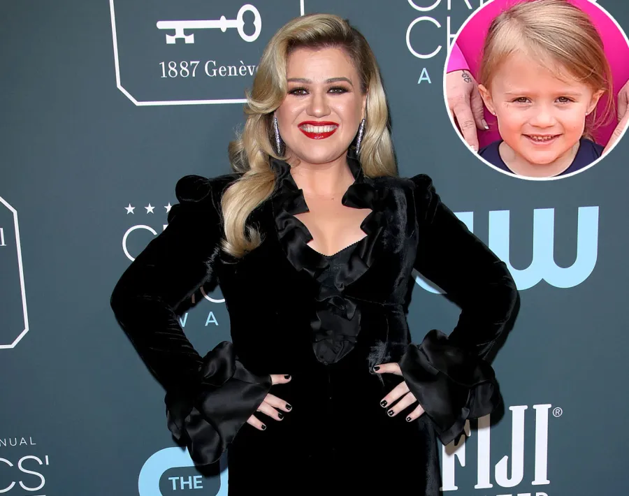 Kelly Clarkson Defends Putting Purple Streak in Daughter River Hair
