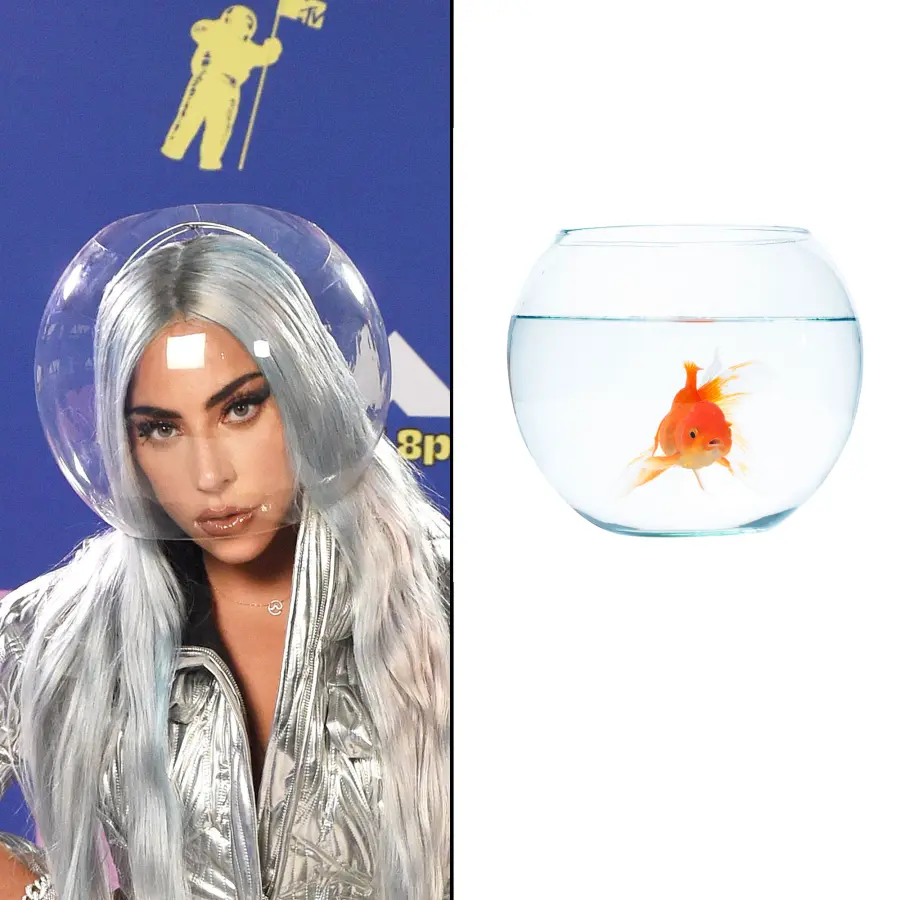 Lady Gaga Fans Are Comparing Her VMAs 2020 Face Mask to a Fish Bowl