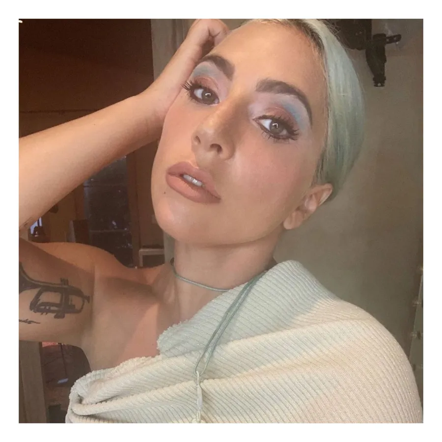 Lady Gaga Makes Dinner for Boyfriend Michael Polansky