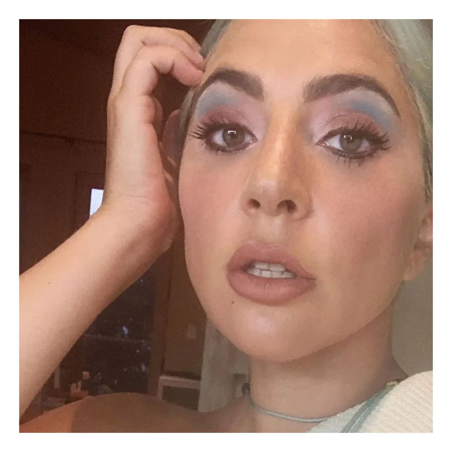 Lady Gaga Makes Dinner for Boyfriend Michael Polansky