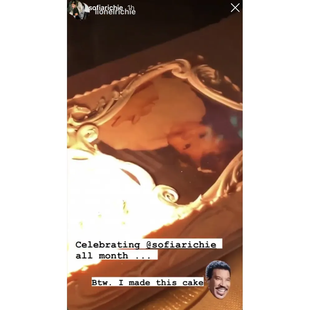 Lionel Richie Bakes a Pink Cake for Daughter Sofia's 22nd Birthday 2