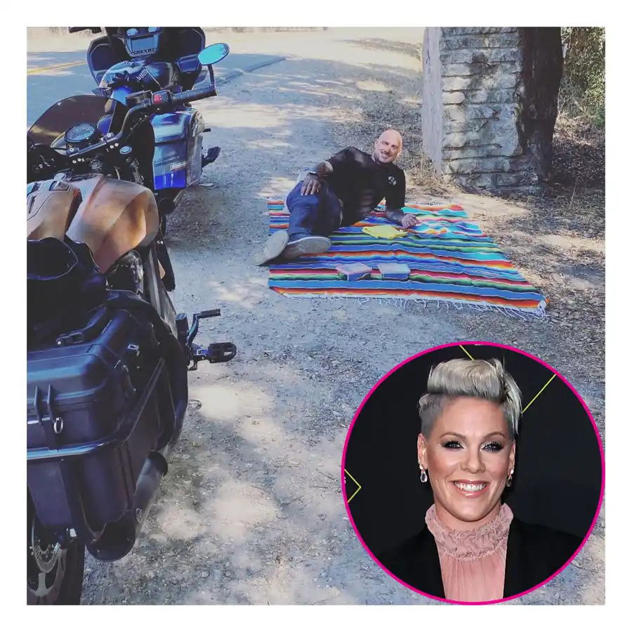 Pink Stars Having Picnics Amid COVID-19