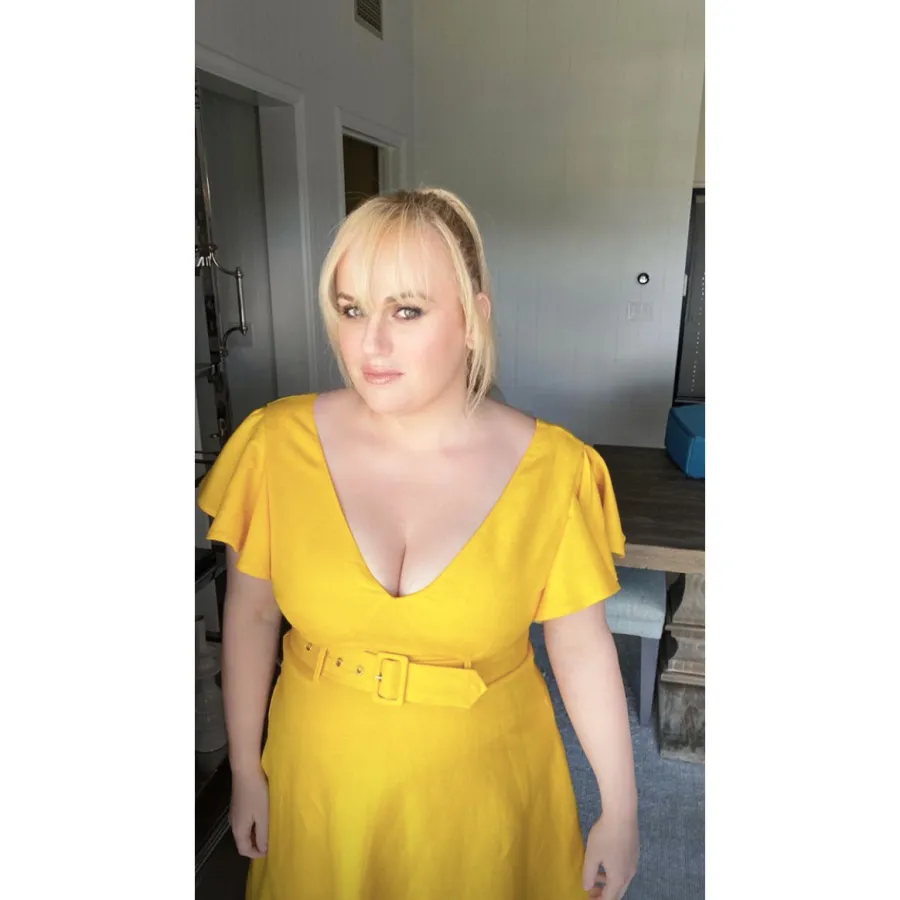 Rebel Wilson Models Her Angles in Bright Yellow Dresses