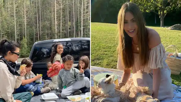 Stars Having Picnics Amid COVID-19