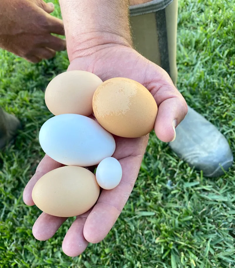 Tiffani Thiessen Inside Day My Life