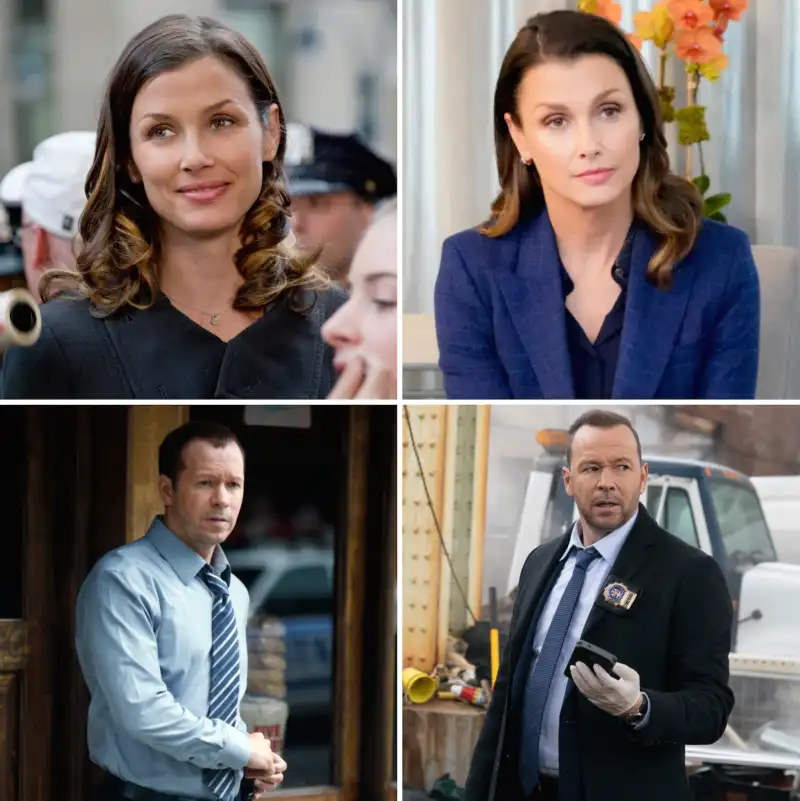 Blue Bloods Cast Season 1 to Now Bridget Moynahan Donnie Wahlberg
