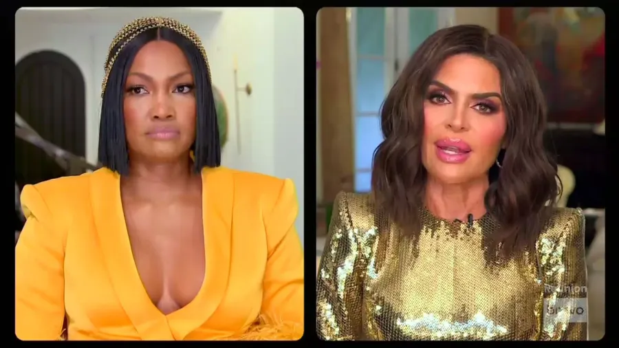 Garcelle’s Comments About Amelia RHOBH reunion
