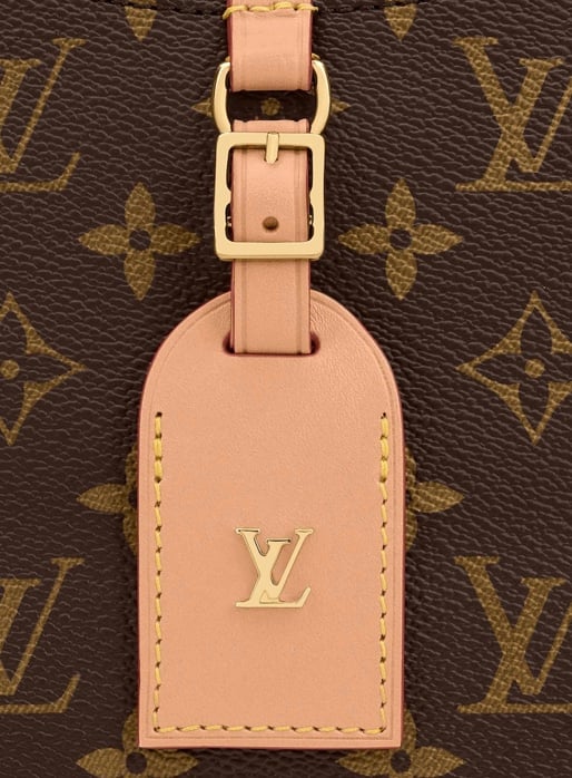 Louis Vuitton Odéon bag