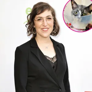 Mayim Bialik Details Quarantine Life With Her 3 Cats p