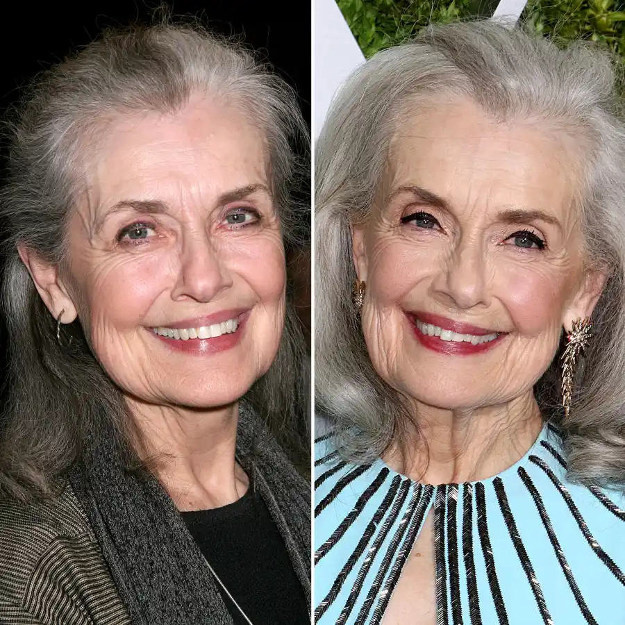 Mary Beth Peil The Good Wife Cast Where Are They Now