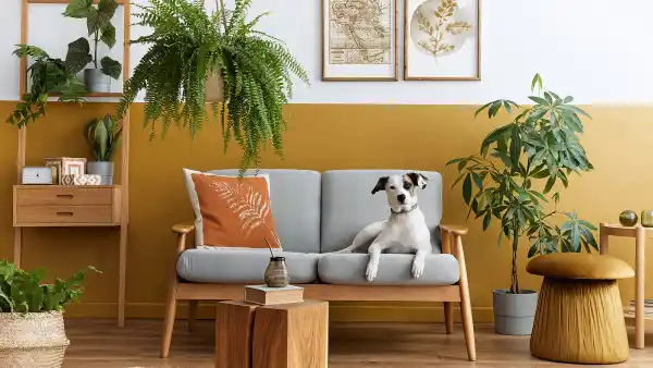 home-furniture-decor-way-day