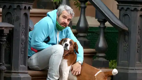 Andy Cohen Reunites With Rescue Dog He Rehomed Last Spring 1