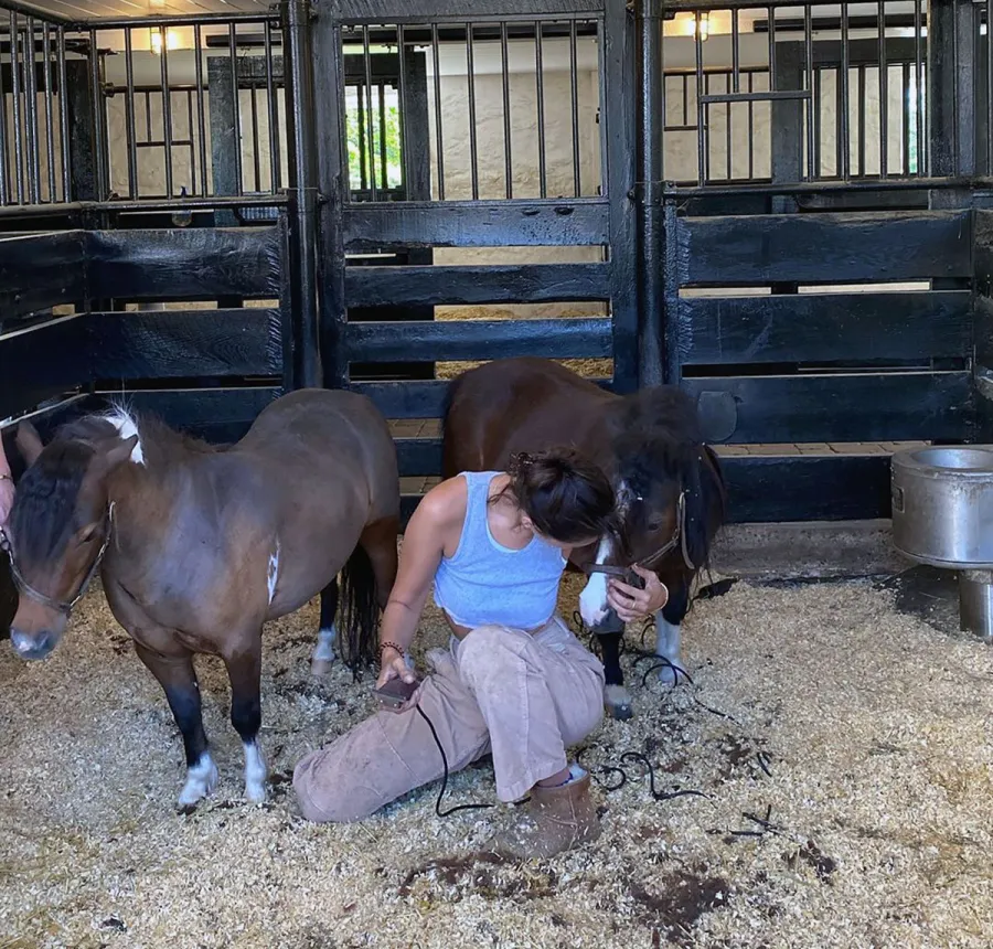 Bella Hadid Continues to Bring It With the Chic Farm Style