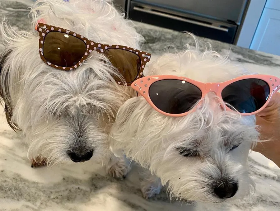 Bethenny Frankel Daughter Bryn Mock Kim Kardashian Private Island Getaway