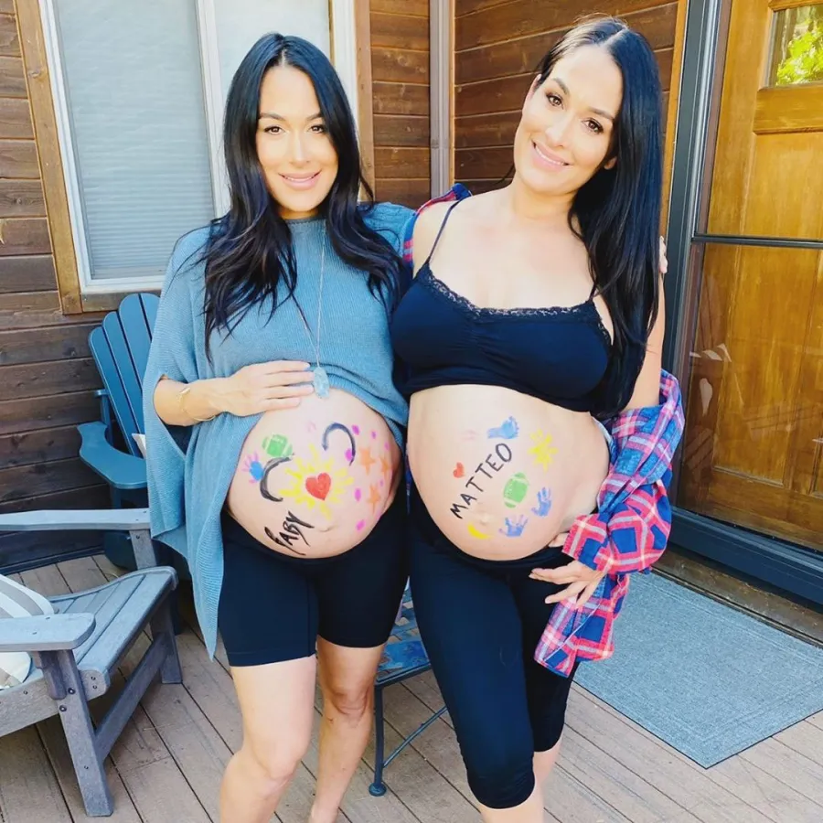 Brie Bella and Nikki Bell Babymoon